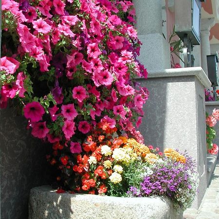 Hotel Sammer Neufelden Exterior photo