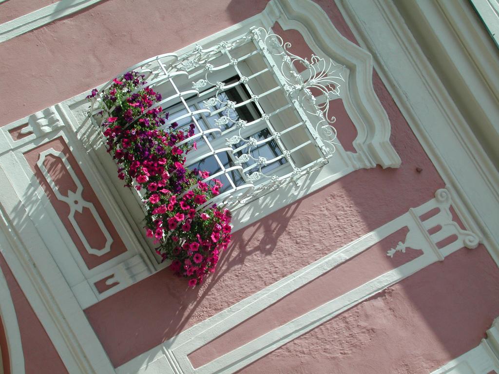 Hotel Sammer Neufelden Exterior photo